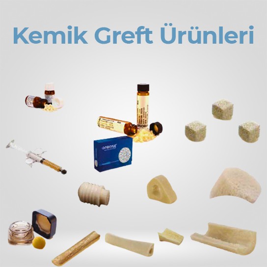 Kemik Greft